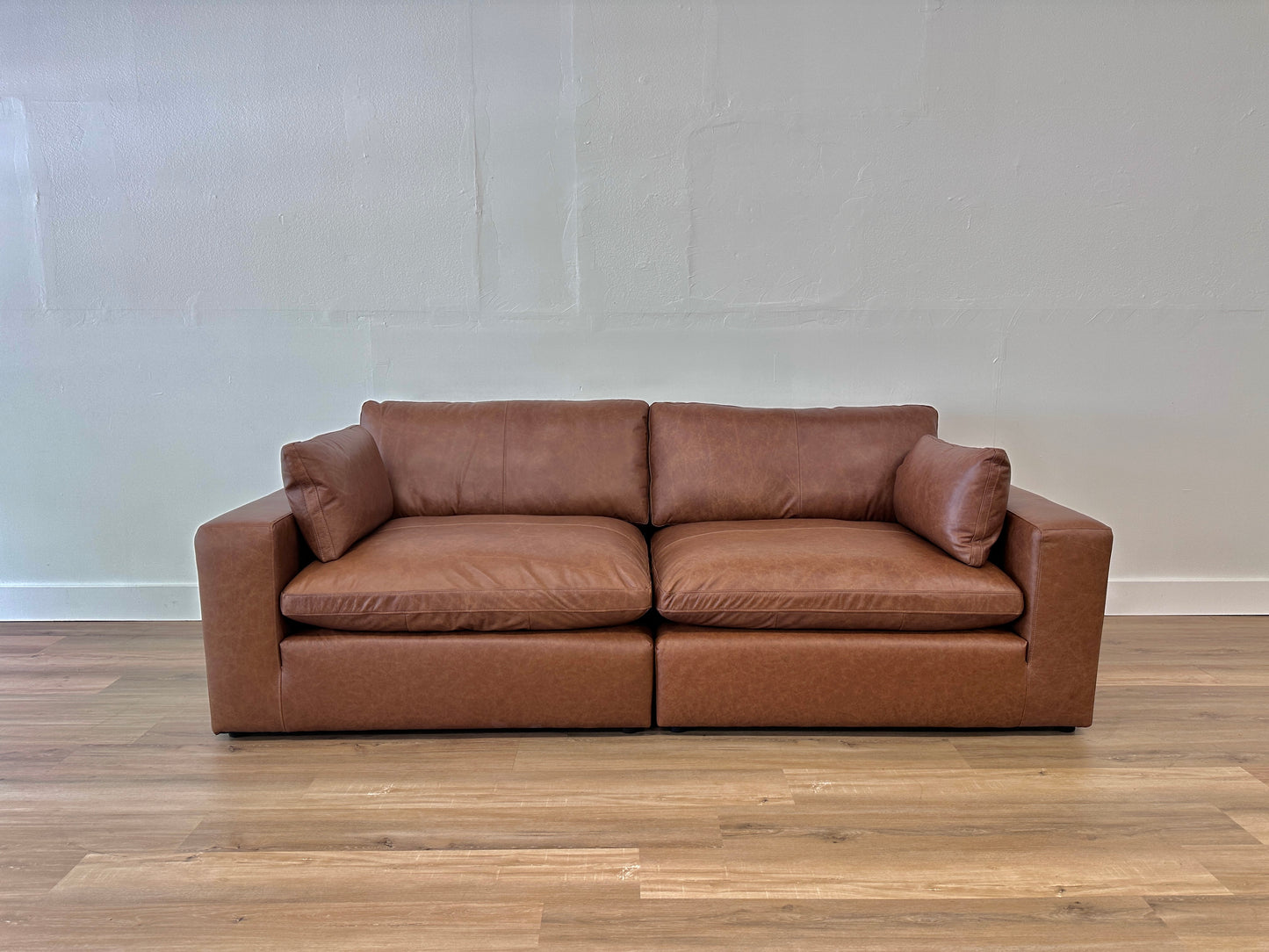 Emilia 2-Piece Loveseat